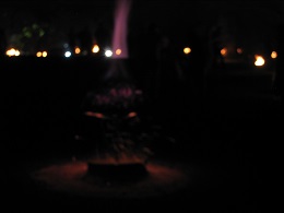 Carabosse Fire Garden