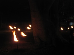 Carabosse Fire Garden