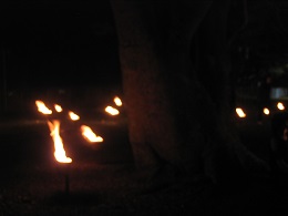 Carabosse Fire Garden