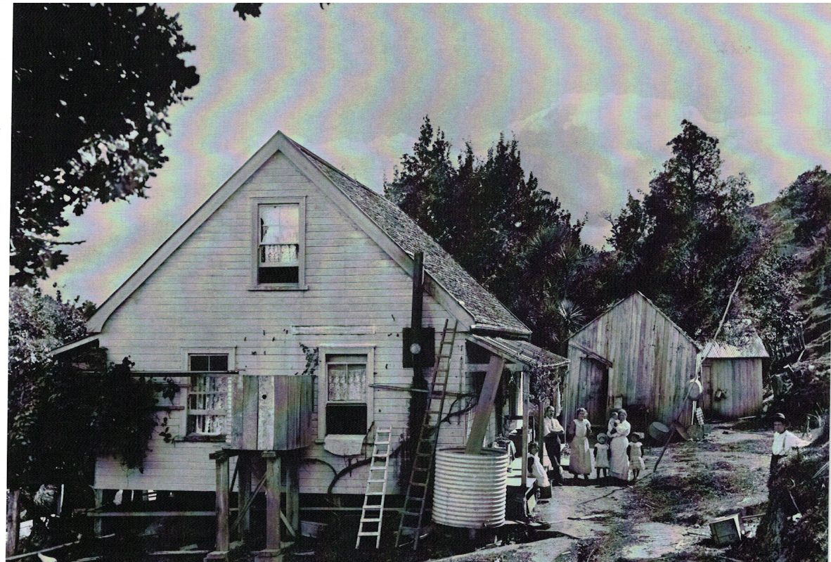 Auckland Public Library - house & home: Domestic Life in New Zealand