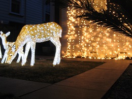 Franklin Road Christmas Lights 2017