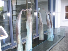 Torpedo Bay Navy Museum - Remberance