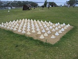 NZ Sculpture Onshore