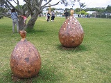 NZ Sculpture Onshore