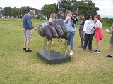 NZ Sculpture Onshore