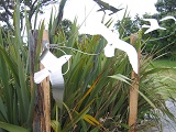 NZ Sculpture Onshore