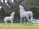 NZ Sculpture Onshore