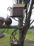 NZ Sculpture Onshore